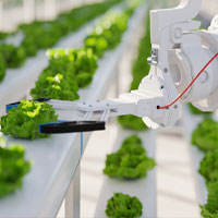 Roboterhand die Gewächse kontrolliert