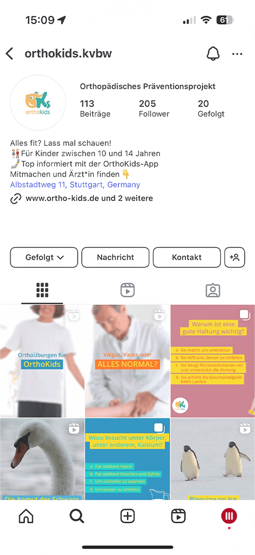 Instagram-Profilansicht des OrthoKids-Projekts