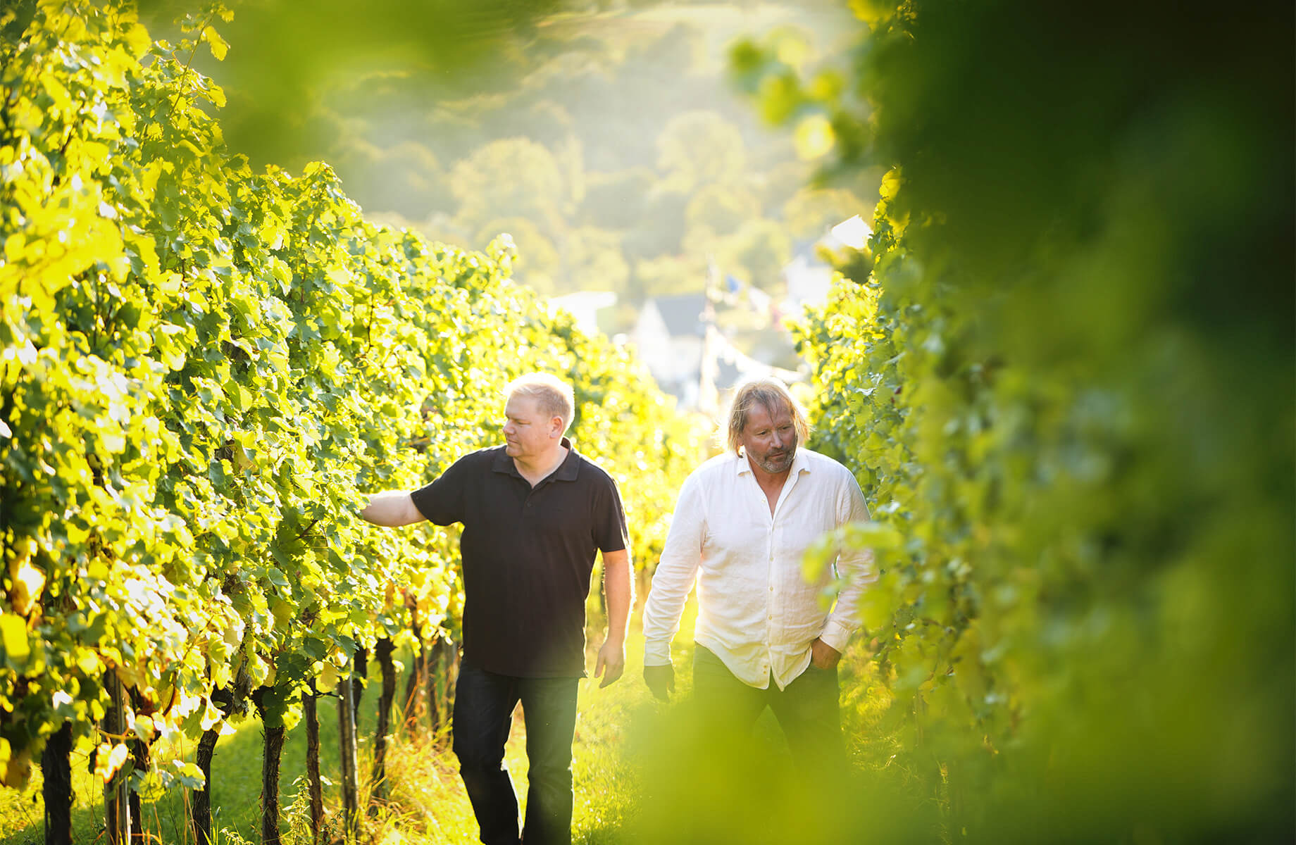 Zwei Winzer gehen durch sonnigen Weinberg und prüfen Reben, beide wirken konzentriert und naturverbunden.